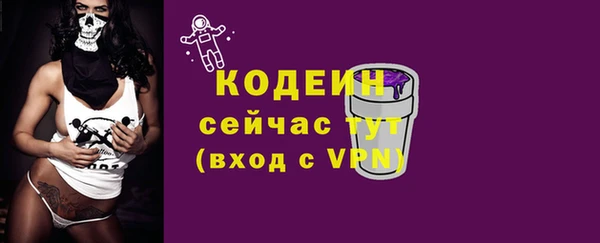 прущие крисы Бородино